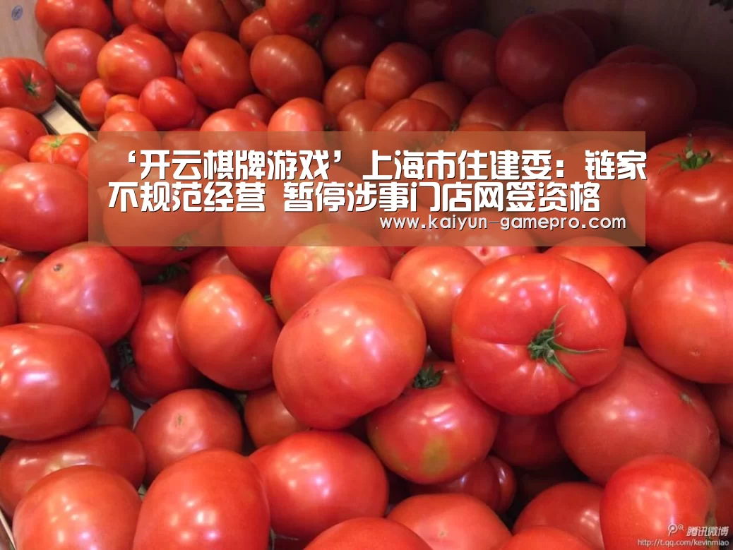 开云电竞赛事直播