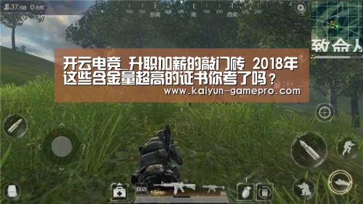 开云电竞