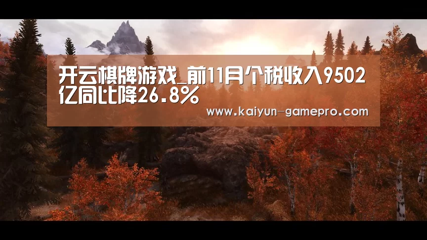 开云棋牌游戏_前11月个税收入9502亿同比降26.8%