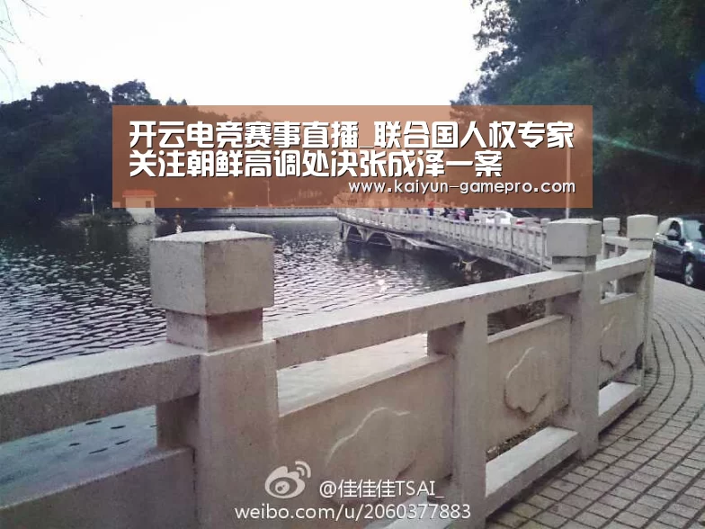 开云电竞赛事直播